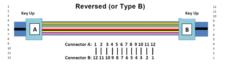 MPO Trunk Cable Type B: