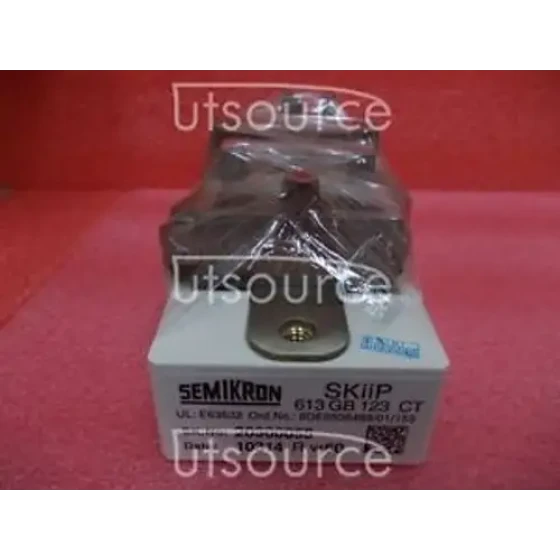 10Pcs Skiip613Gb123Ct Verkapselung:Modul6-Pack-Integrierte Intelligenz