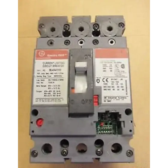 Ge Sela Sela24At0100 100 Amp 2 Pole Circuit Breaker