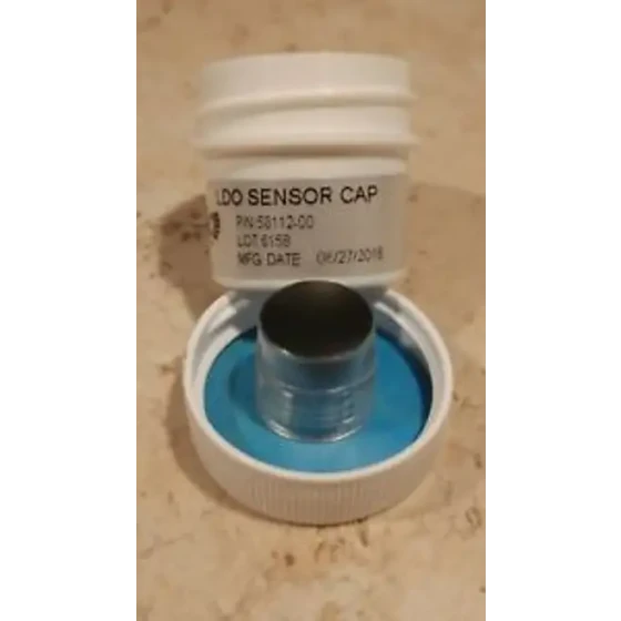 Hach 58112-00 Tapón del sensor Ldo de repuesto