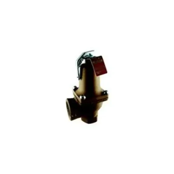 Watts 19499-0030 Hot Water Pressure Relief Valve