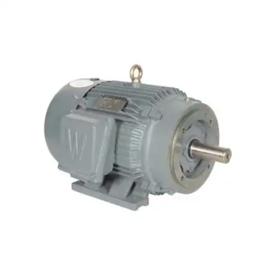 Worldwide Electric T-Frame Motor PEWWE40-18-324TC-F2 GP TEFC Rigid 3 PH F2 324TC 48.5 FLA