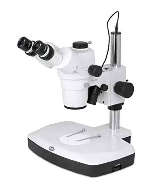 1100200500081 - SMZ-168 Binocular Stereo Microscope - Large Working Area - Motic SMZ-168 Stereo Microscope Motic Instruments - Each