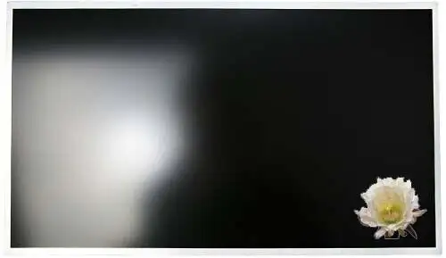 Hp Omen 17-An120Nr Lcd Led Replacement Screen 17.3" Fhd 144Hz Display Panel