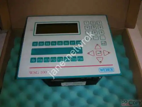 Weber Wsg100 4C2210.01-510 4D1042.00-K02 ( )#Czj