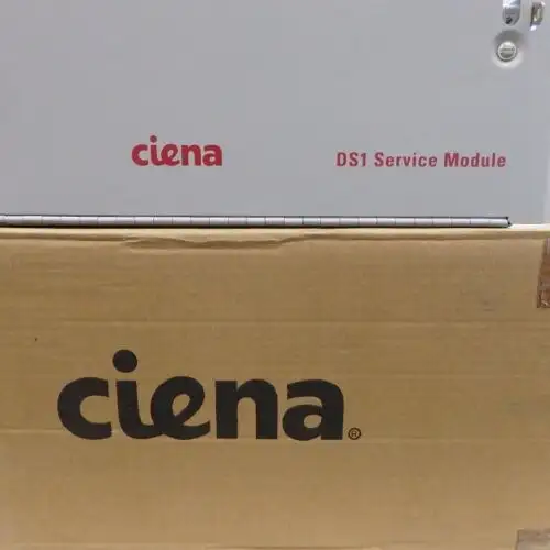 Ciena Ds1 Dsm Service Module Ntn407Ma