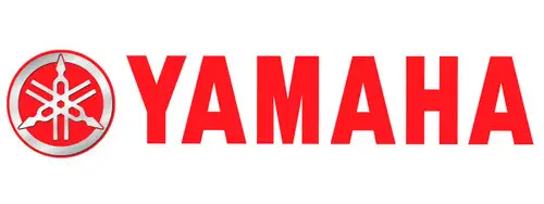 Yamaha OEM Part JW9-H2107-10-00 CHARGER BATTERY:120V/60HZ 48V