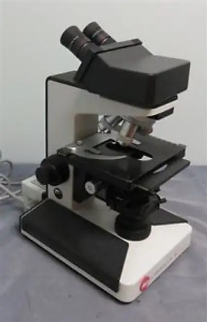 Ernest Leitz Wetzler Gmbh Laborlux S Microscope 020-505-030