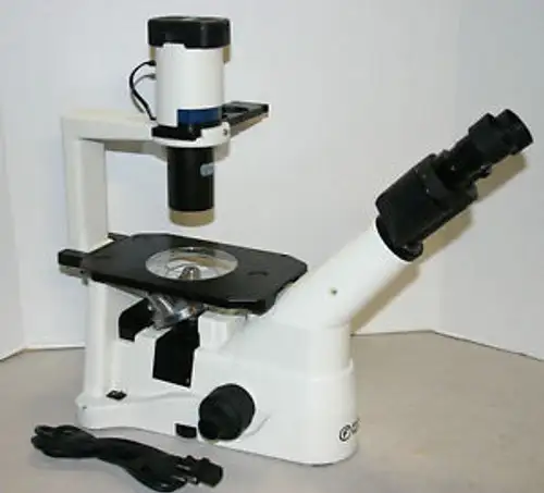 Fisher Amg Inverted Phase Contrast Microscope 40-200X Infinity Corrected