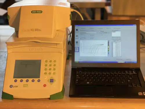 Biorad Icycler Multicolor Rt Pcr 4-Color With Computer - And Calibrated