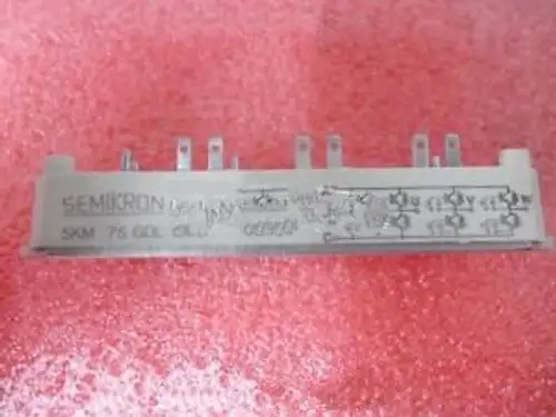 Skm75Gdl123D Encapsulation:Moudle