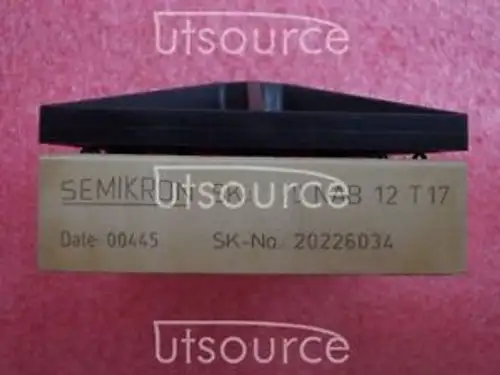 10Pcs Skiip20Nab12T17 Encapsulation:Module2-Pack-Integrated Intelligent
