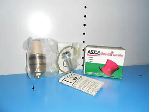 Asco Red Hat 302282 Valve Repair Rebuild Kit ~