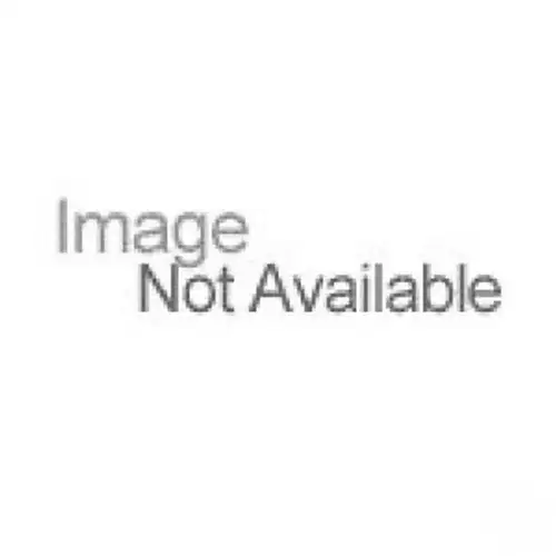 Square D by Schneider Electric QO 100 Amp Two-Pole Circuit Breaker-QO2100CP