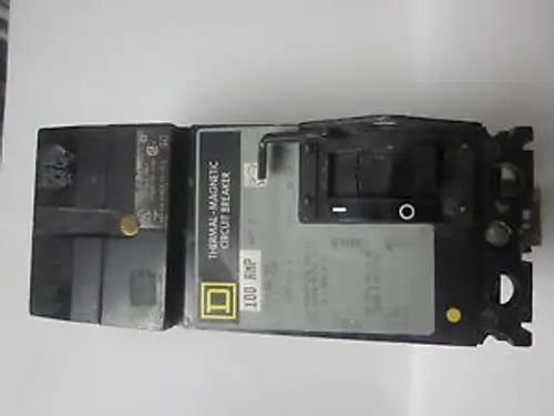Square D 100 Amp 2 Pole Thermal-Magnetic Circuit Breaker Fa26100Bc.......Yc-262