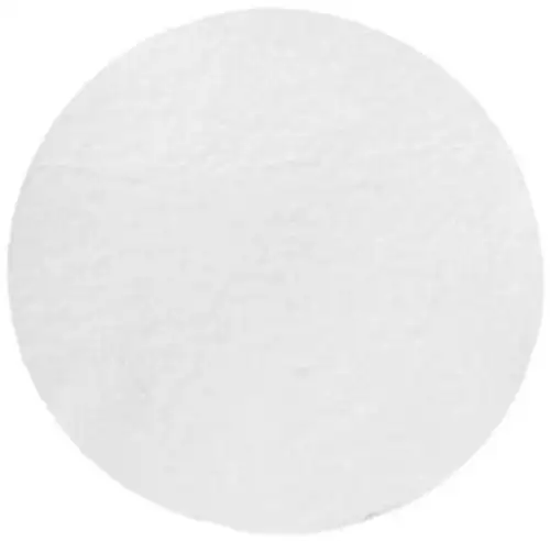 Whatman 1825-024 Glass Microfiber Binder Filter 0.7 Micron 19 S/100Ml Of