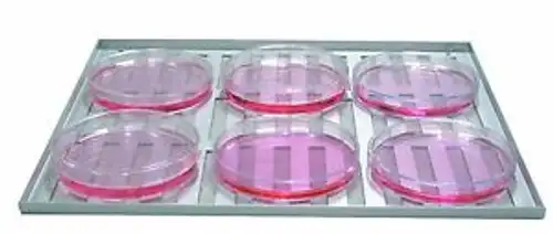 FinePCR Shelf for AR6-110/60 Compact Incubator
