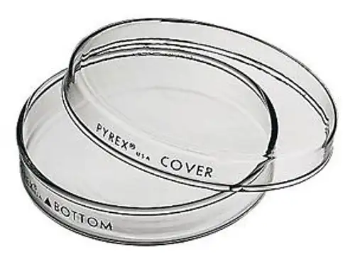 Pyrex 3160-102 Brand 3160 Petri Dish 100 X 20 Mm Pack Of 12