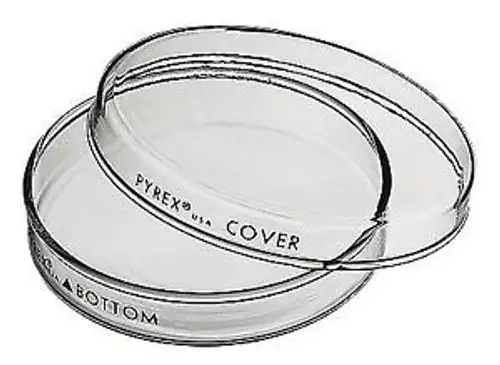 Pyrex 3160-152 Brand 3160 Petri Dish 150 X 20 Mm Pack Of 12