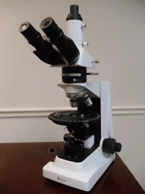 Bs-5080 Polarizing Transmitted With Rotatable Head Trinocular
