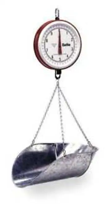 Chatillon & Sons 0720Dd-T-Cg Mechanical Hanging Scale Dial 7 In. H
