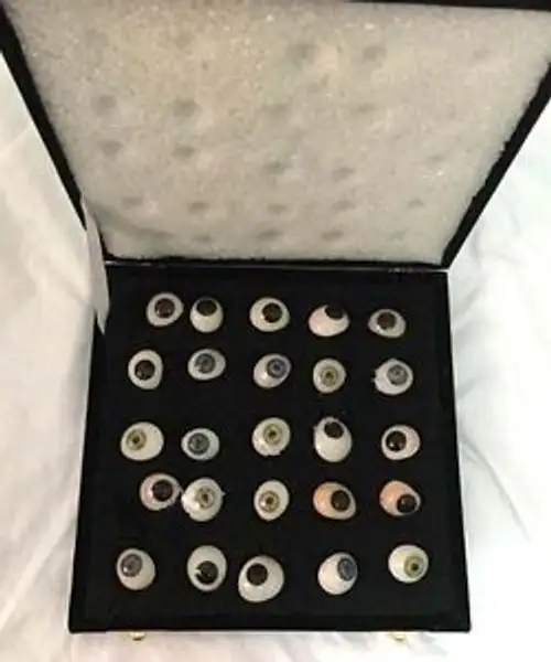 Artificial Eyes-25 MIX COLOUR Pieces Prosthetic Eyes Set