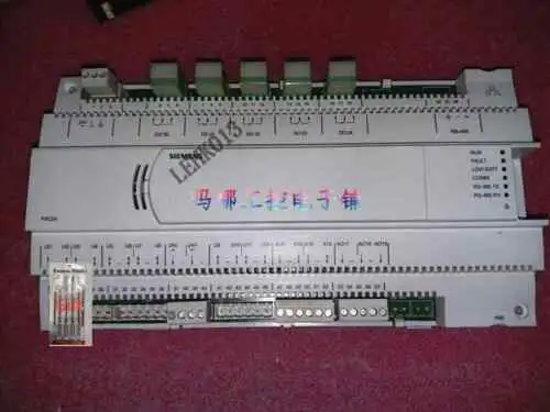 Pxc24.2-Pe.A