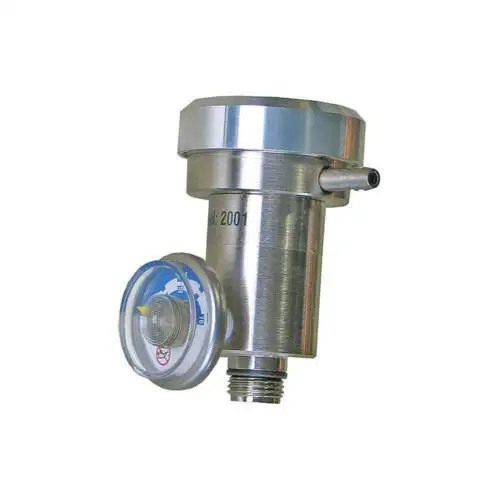 Bw Technologies Reg-Df-1 Gas Rgltr For Dspsbl Cylinder Demand Flw