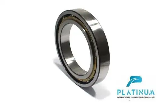 Dkfddr 6048 Deep Groove Ball Bearing
