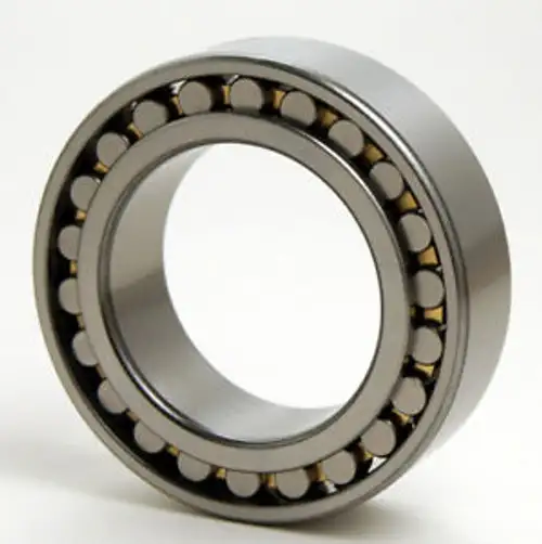 Bl Ra326 Cylindrical Roller Bearing - Roller Assembly