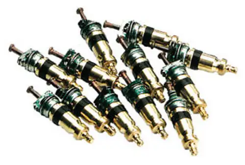CPS AVS1BC - Valve Cores