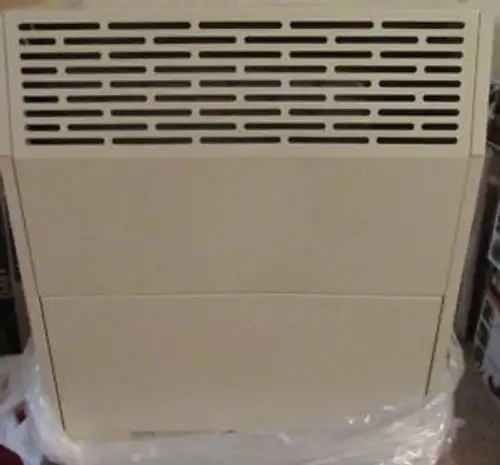 Empire 15 000 BTU Direct Vent Propane Heater DV-215