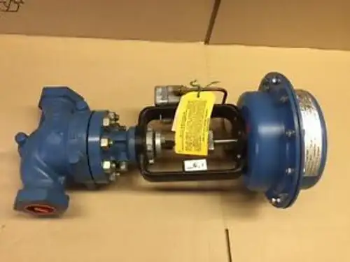 Robertshaw 4202-D1-B1-C1 Actuator/Valve