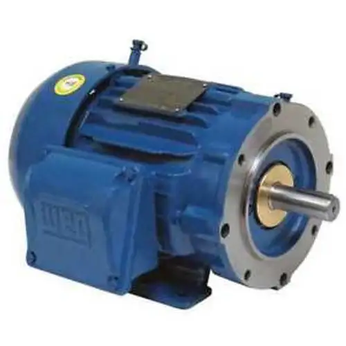 IEEE 841 Motor Weg 00518ST3QIE184TC-W22