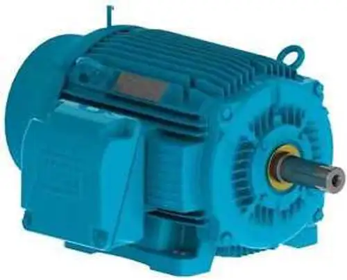 IEEE 841 Motor Weg 03012ST3QIE326T-W22