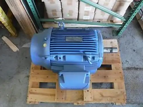 New General Purpose Motor Weg 07518ET3E365T-W22