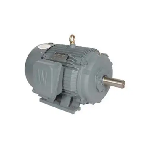 Worldwide Electric T-Frame Motor PEWWE50-18-326T-F2 GP TEFC Rigid 3 PH F2 326T 59.6 FLA
