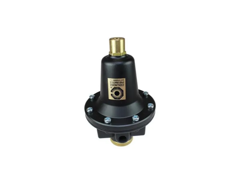 Regulador neumático COILHOSE PNEUMATICS 8802K