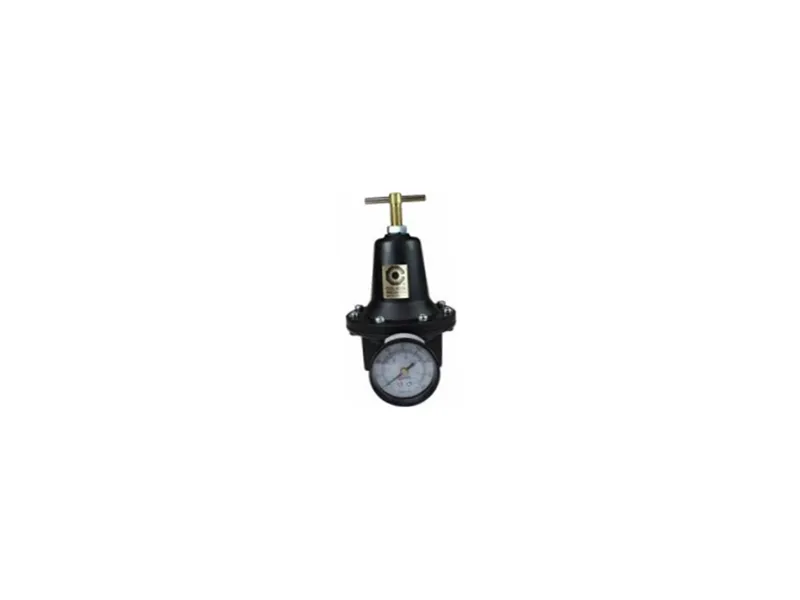 Regulador neumático COILHOSE PNEUMATICS 8804H