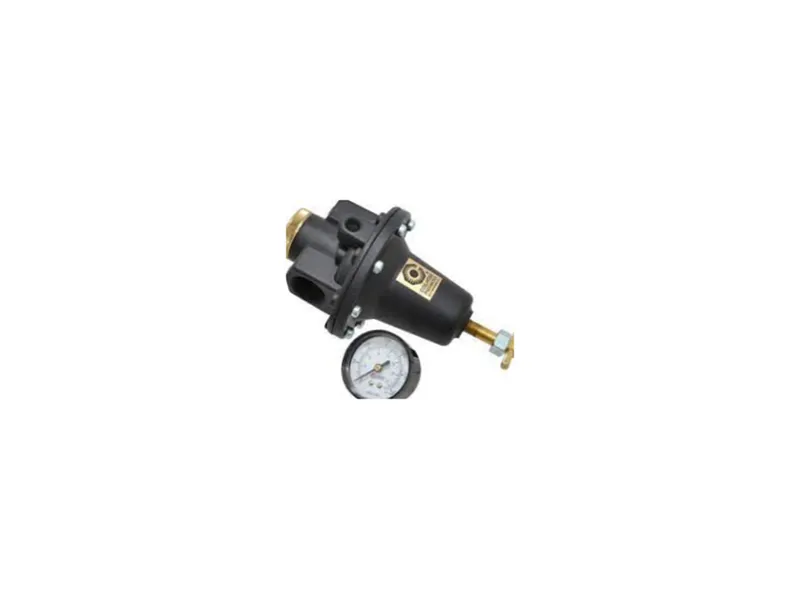 Regulador neumático COILHOSE PNEUMATICS 8804H