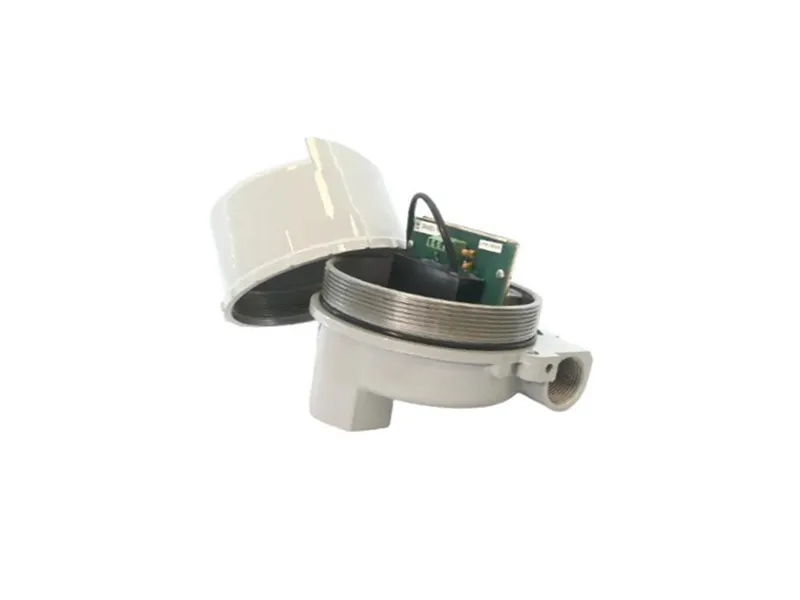DELAVAN PROCESS INSTRUMENTATION 43596 Füllstandstransmitter