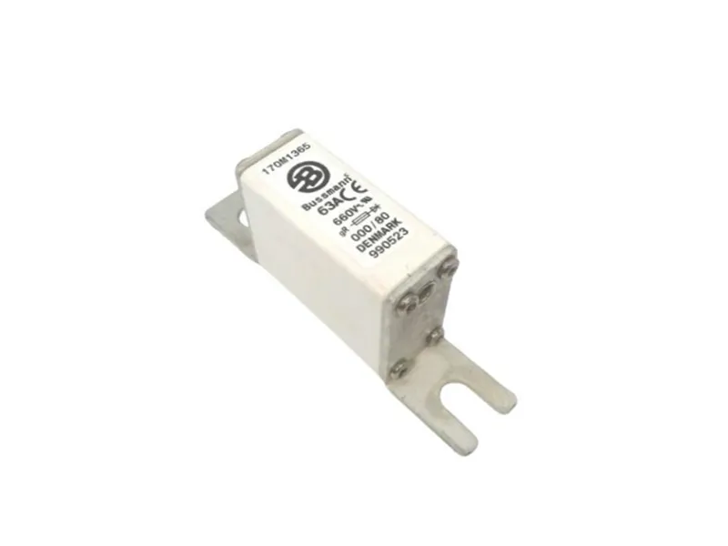 170M1365 保險絲（BUSSMANN品牌）