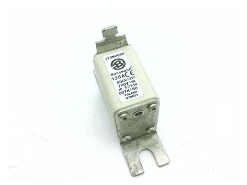 170M2665 保險絲（BUSSMANN品牌）