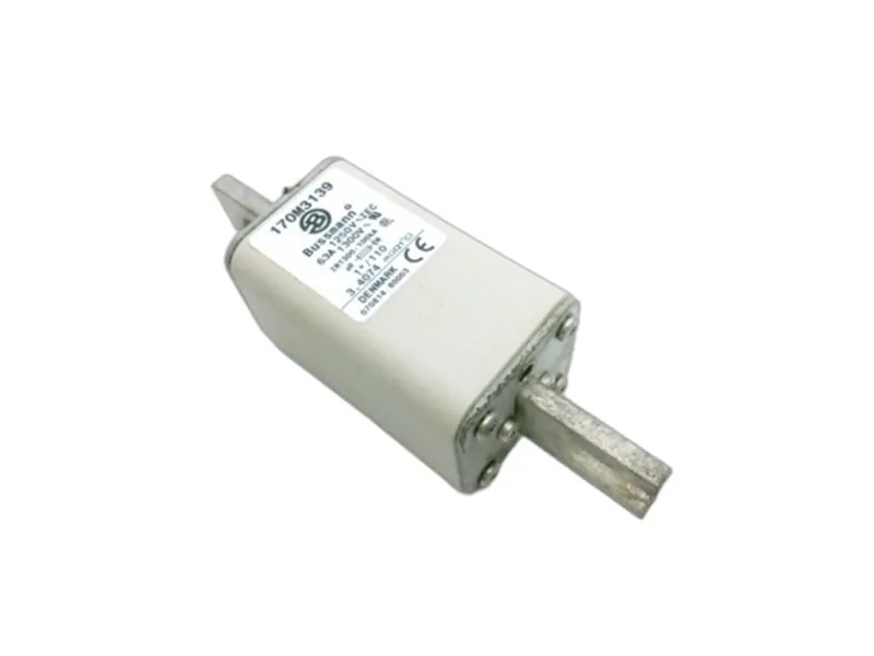 170M3139 保險絲（BUSSMANN品牌）