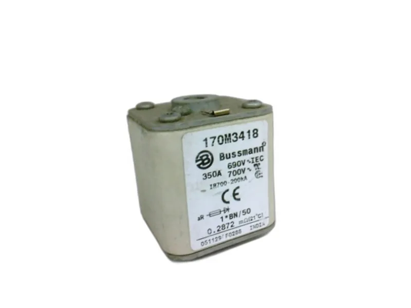 170M3418 保險絲（BUSSMANN品牌）