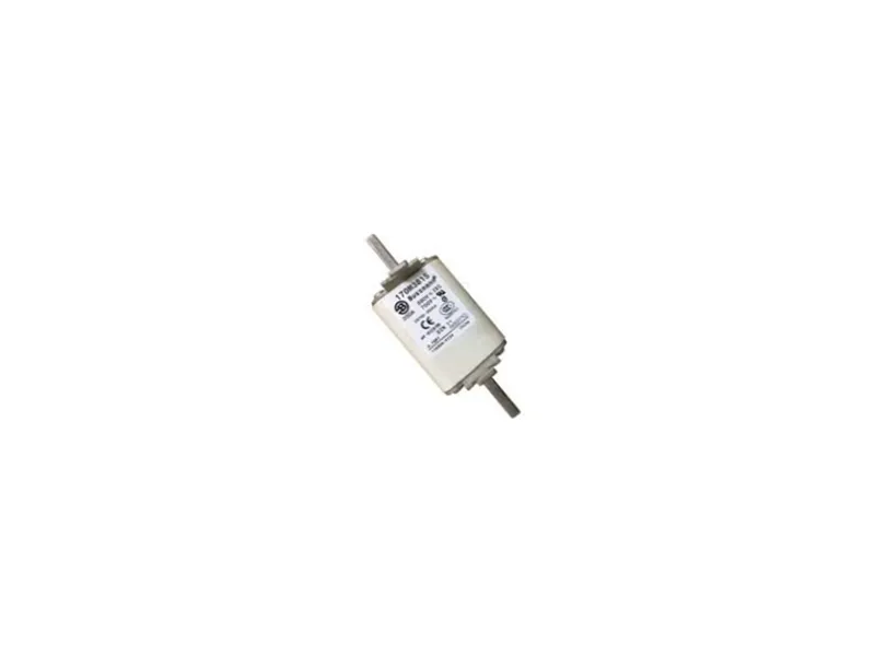 170M3815 保險絲（BUSSMANN品牌）