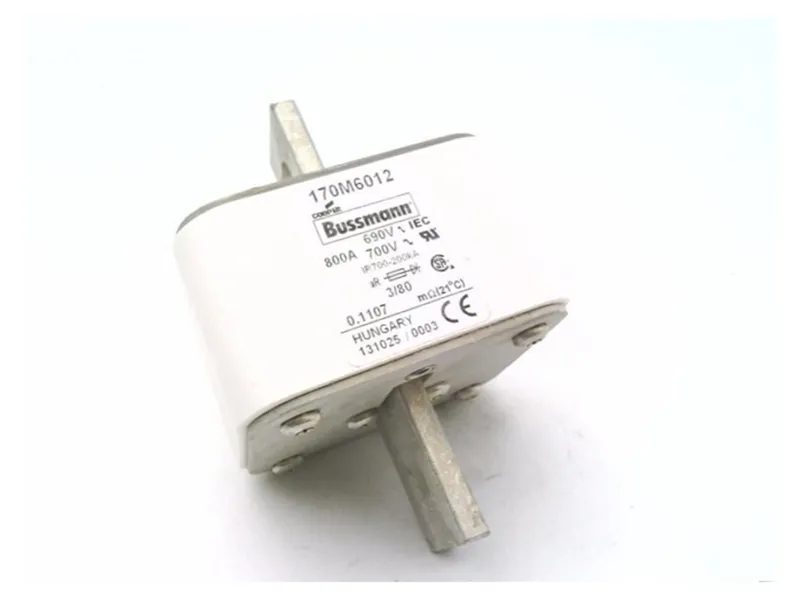 170M6012 保險絲（BUSSMANN品牌）