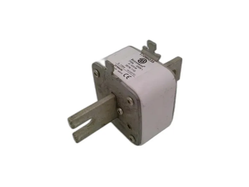 170M6035 Sicherung von BUSSMANN