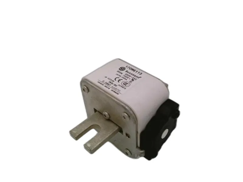 170M6113 保險絲（BUSSMANN品牌）