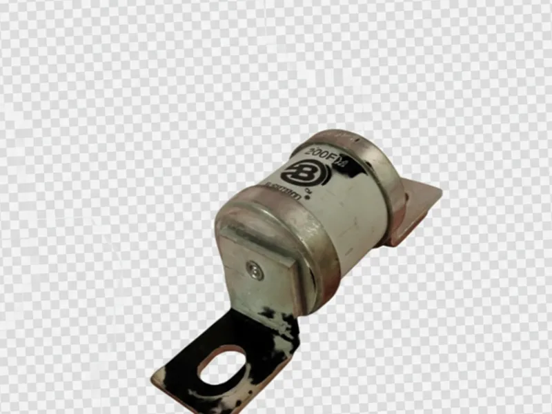 200FM保險絲（BUSSMANN品牌）
